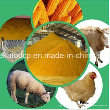 Ekato 98.5% Feed Grade Lisina con Alta Calidad